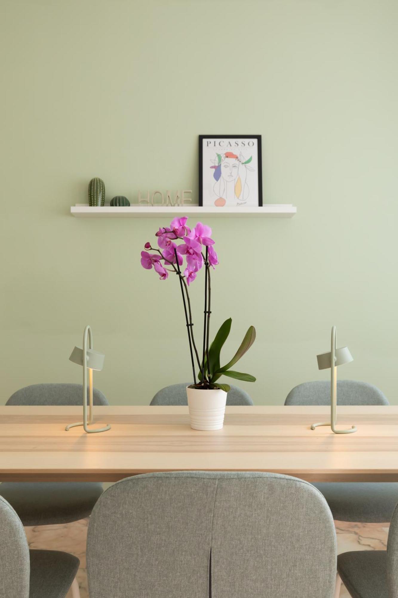 Domiziano Boutique Apartment โรม ภายนอก รูปภาพ